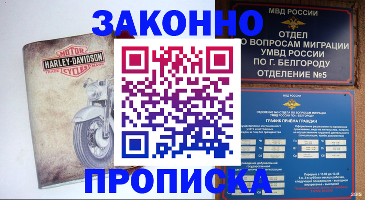 прописка для школы в Далматово